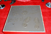 PictureLux Celebrity Stock Photos