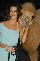 PictureLux Celebrity Stock Photos