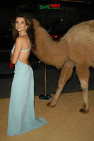 PictureLux Celebrity Stock Photos