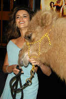 PictureLux Celebrity Stock Photos