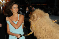 PictureLux Celebrity Stock Photos