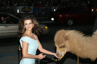 PictureLux Celebrity Stock Photos