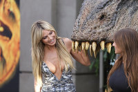 PictureLux Celebrity Stock Photos